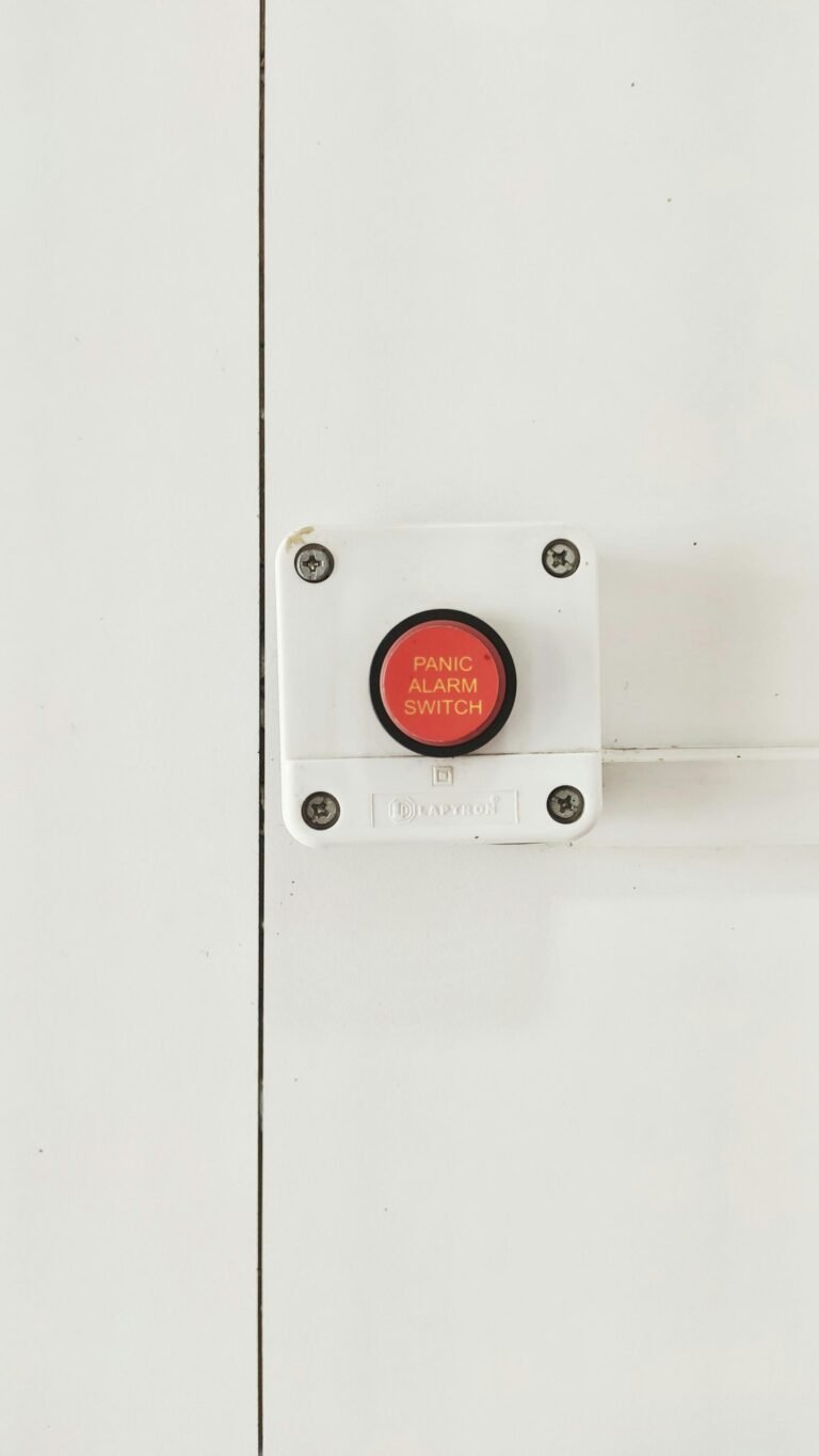 pexels-sum-it-3525397